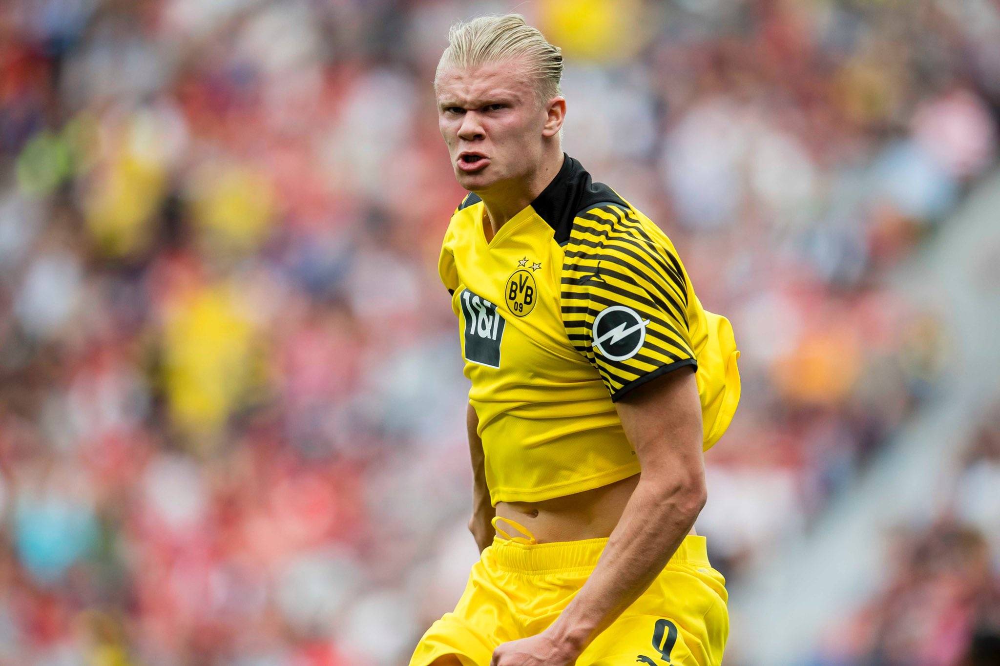 埃贝尔：暂时没有引援计划，引进新球员可能会带来不稳定因素（埃贝尔：短期内不引援，新人加盟或致球队不稳）